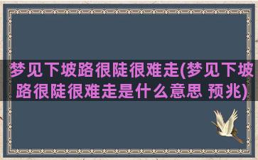 梦见下坡路很陡很难走(梦见下坡路很陡很难走是什么意思 预兆)